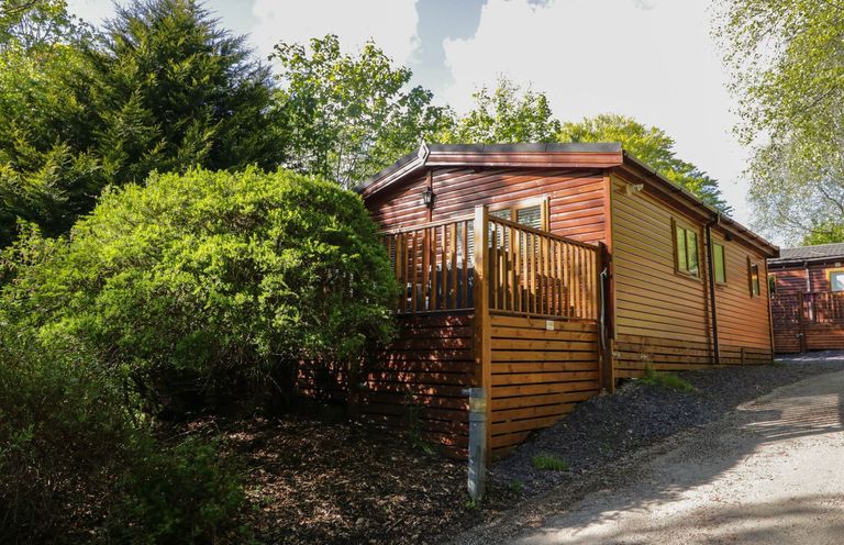 A wooden cabin with a small porch surrounded by trees and bushes at Mere Brook Lodge White Cross Bay