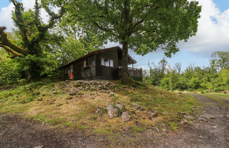 A cabin surrounded by trees and a rocky path at Oak Lodge in Mynydd Cerrig near Porthyrhyd