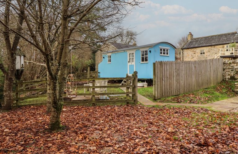 A blue cabin and fence in a garden area at Meadows in Hexham
