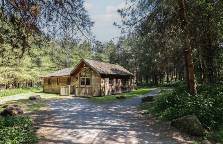 A wooden cabin surrounded by trees with a gravel driveway at Birch Lodge in Rosliston