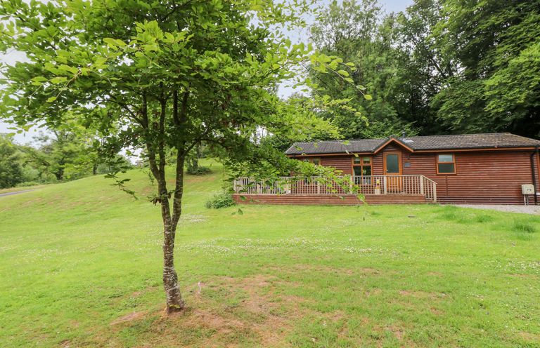 A wooden cabin with a deck in a grassy area with a small tree in front at The Beeches in Narberth