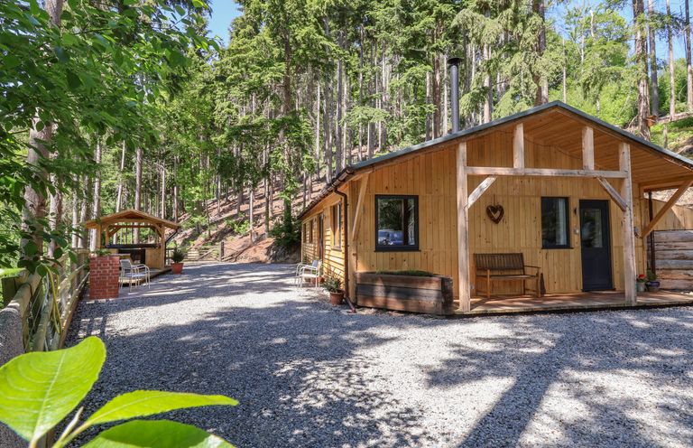 A wooden cabin with a small porch and bench surrounded by tall trees and gravel ground at Lady Bagots Cabin in Ruthin