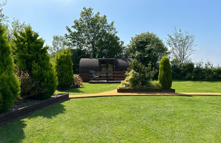A garden with a pod and trees at Gelert Pod St Asaph