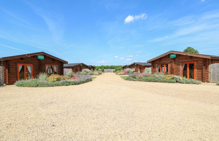 A row of wooden lodges with plants and gravel paths under a blue sky at Cedar Lodge in Greetham Rutland