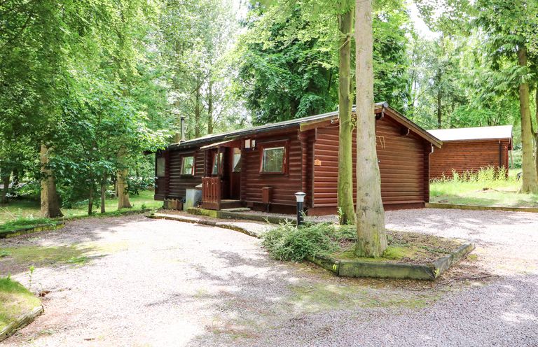 A wooden cabin surrounded by trees with a gravel driveway at Lodge 8 in Louth