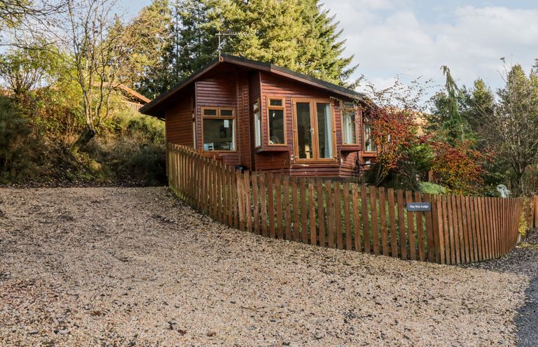 A brown wooden cabin with windows and a door surrounded by a wooden fence and trees at The Wee Lodge in Dollar