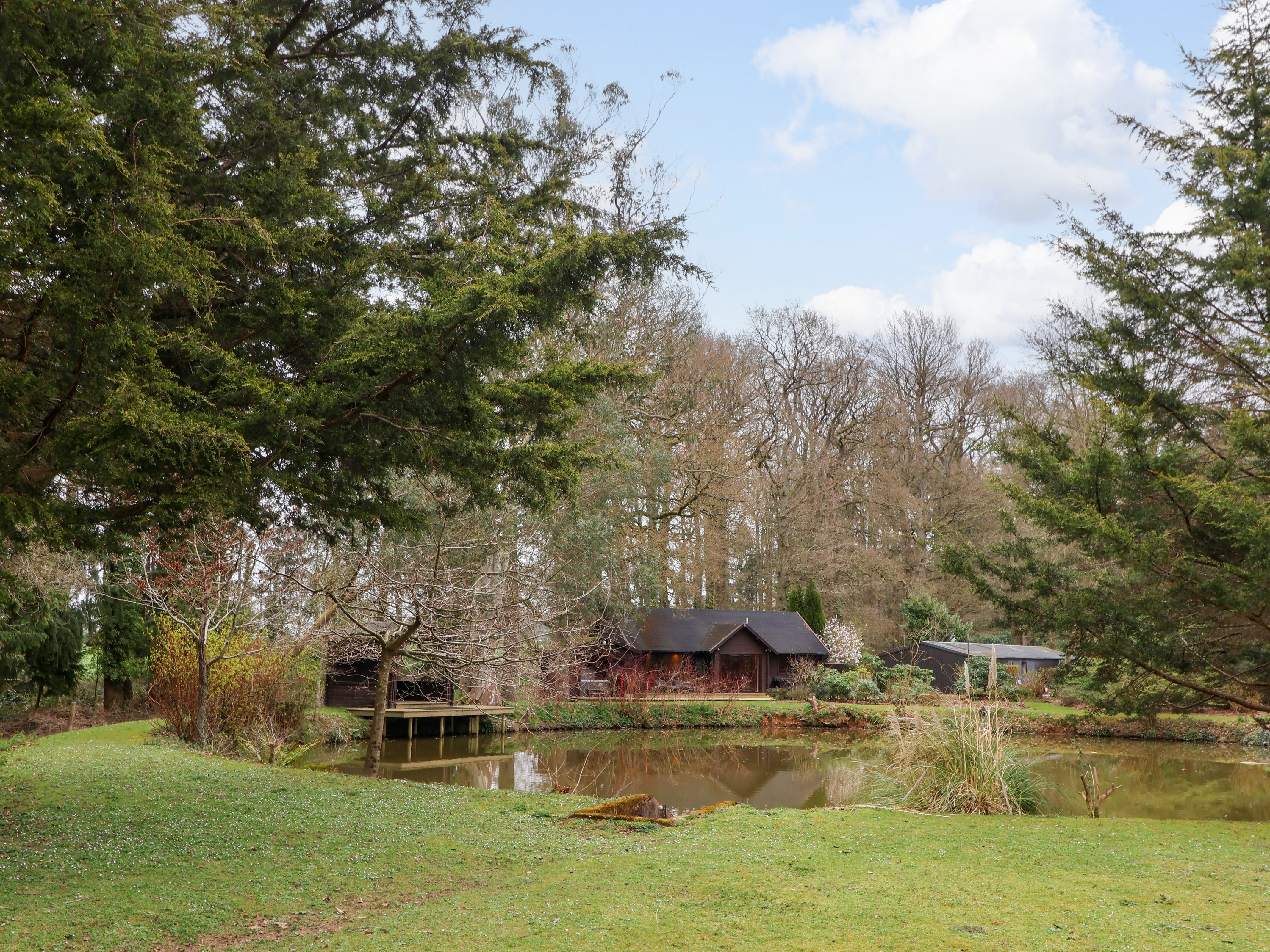 Holiday cottage, Willand (Woodpeckers)