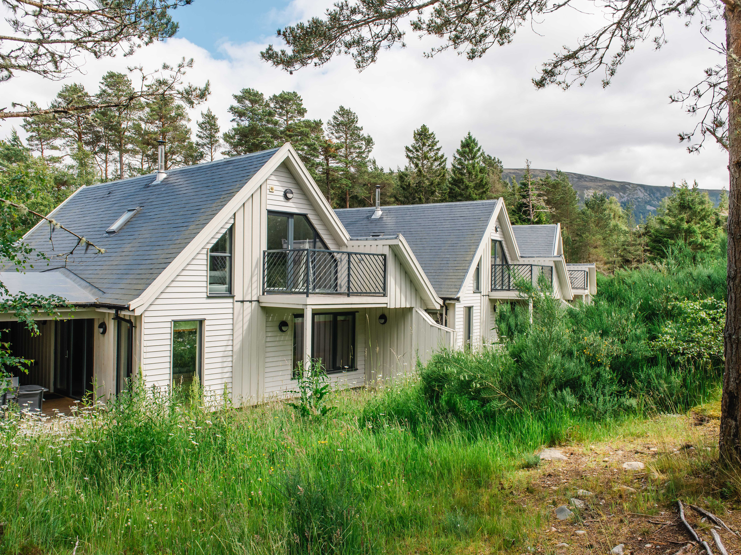 Holiday cottage, Aviemore (Otter Lodge)