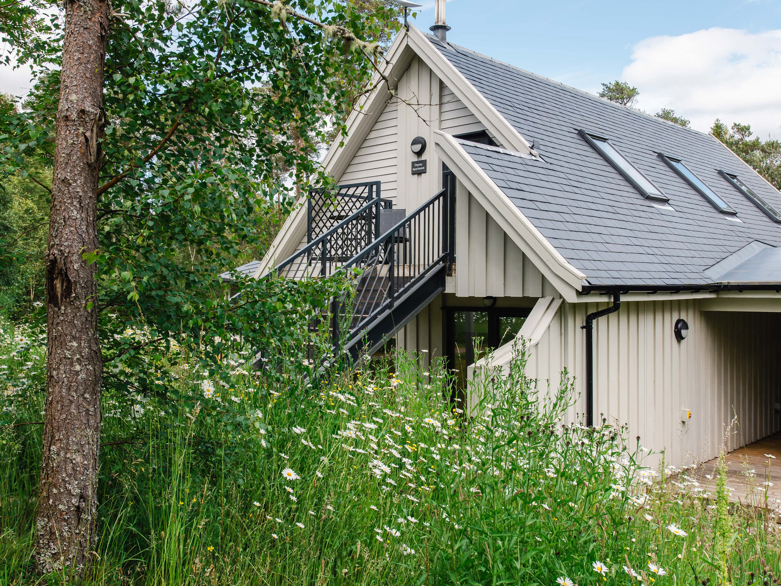 Holiday cottage, Aviemore (Osprey Apartment)