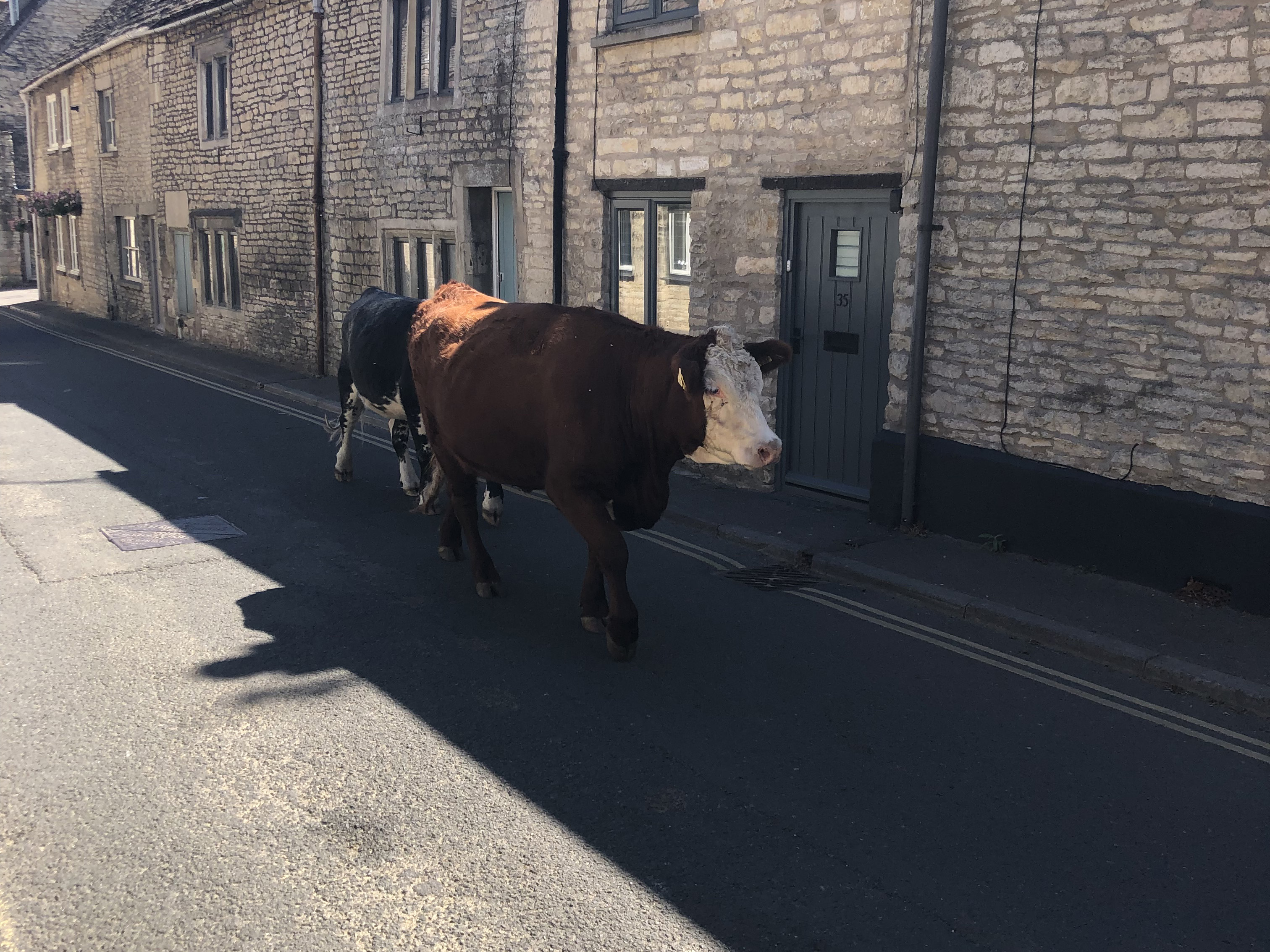 Holiday cottage in Minchinhampton