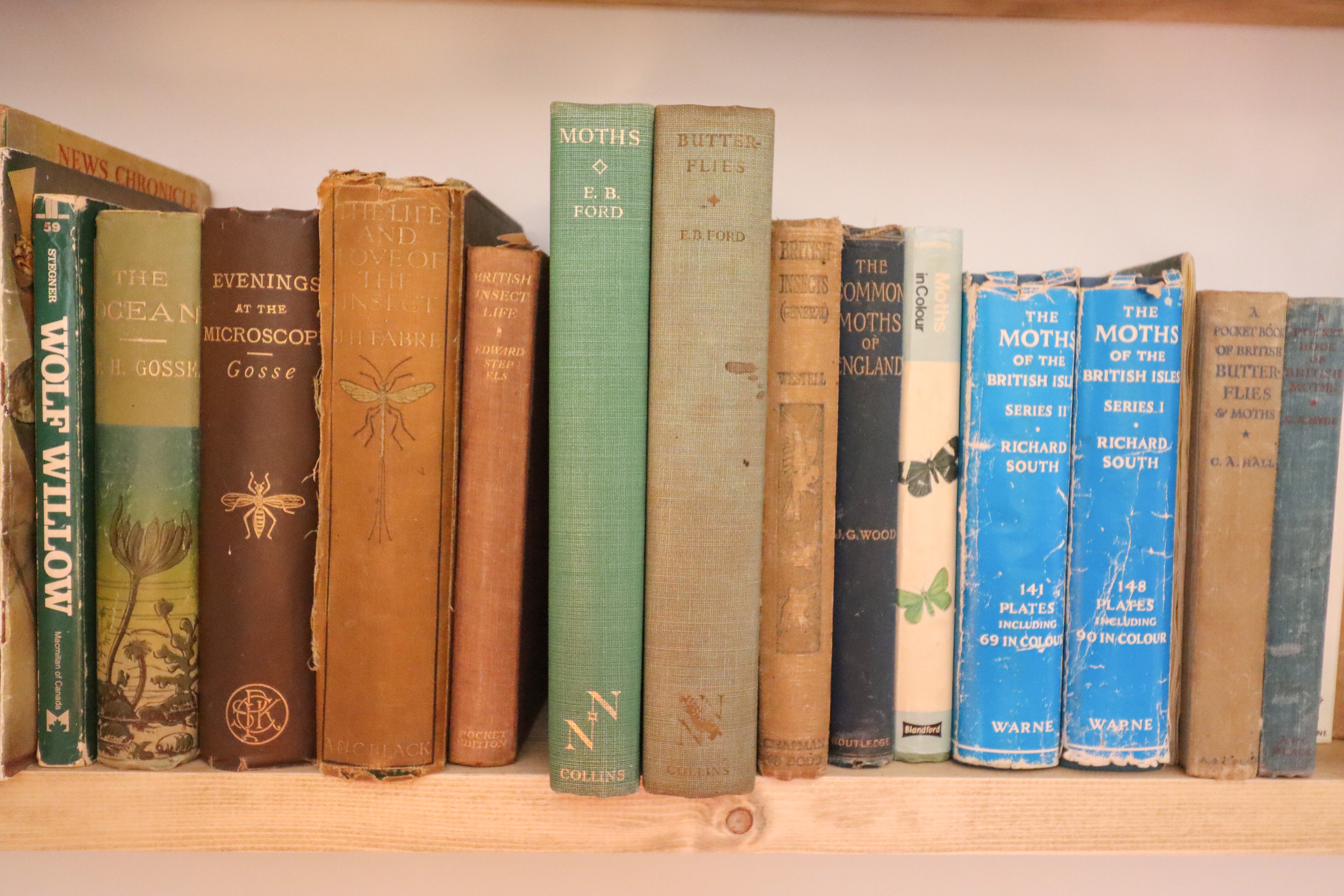 Holiday cottage in Assington, Suffolk - Photo 5