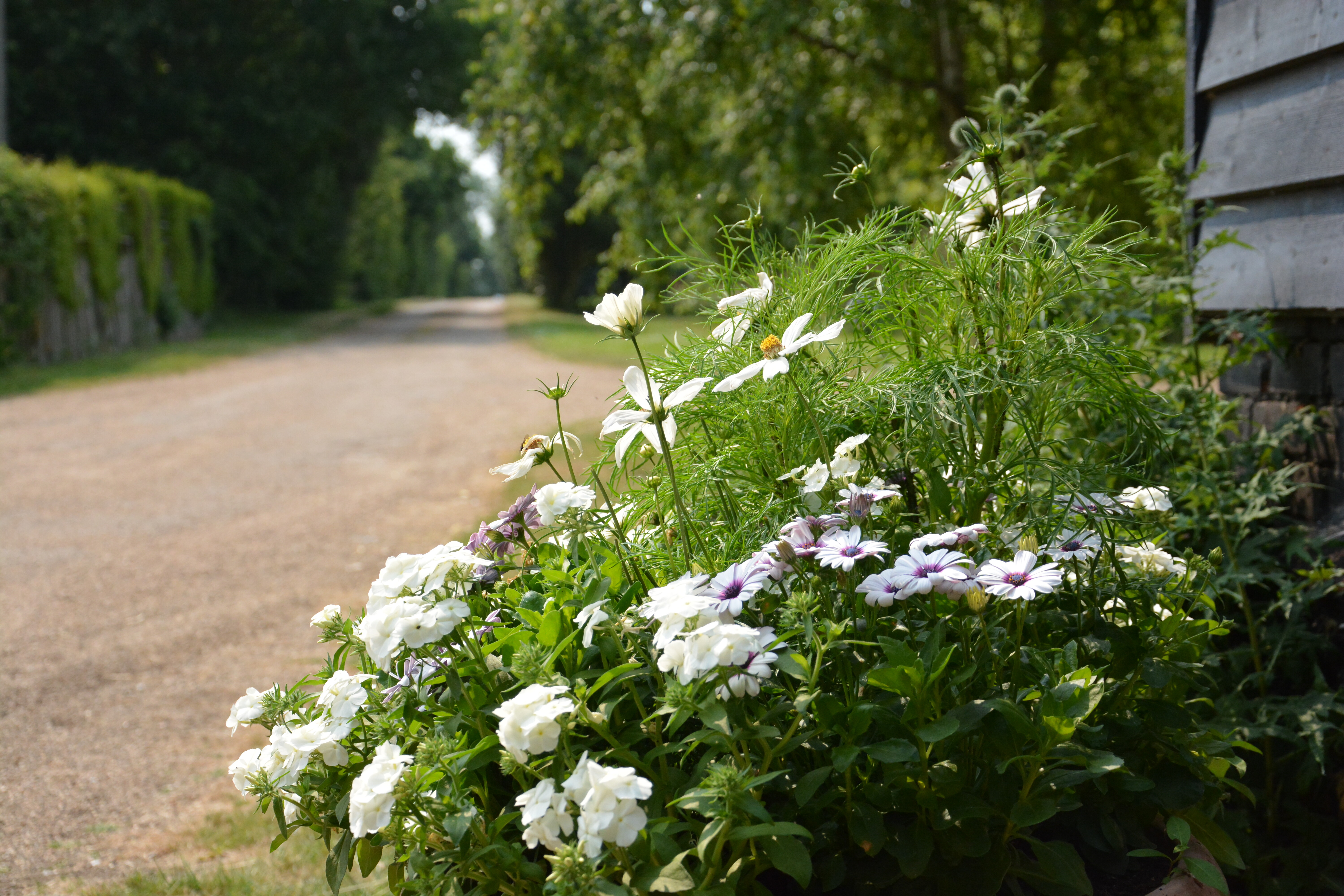 Holiday cottage in Stowupland, Suffolk - Photo 10