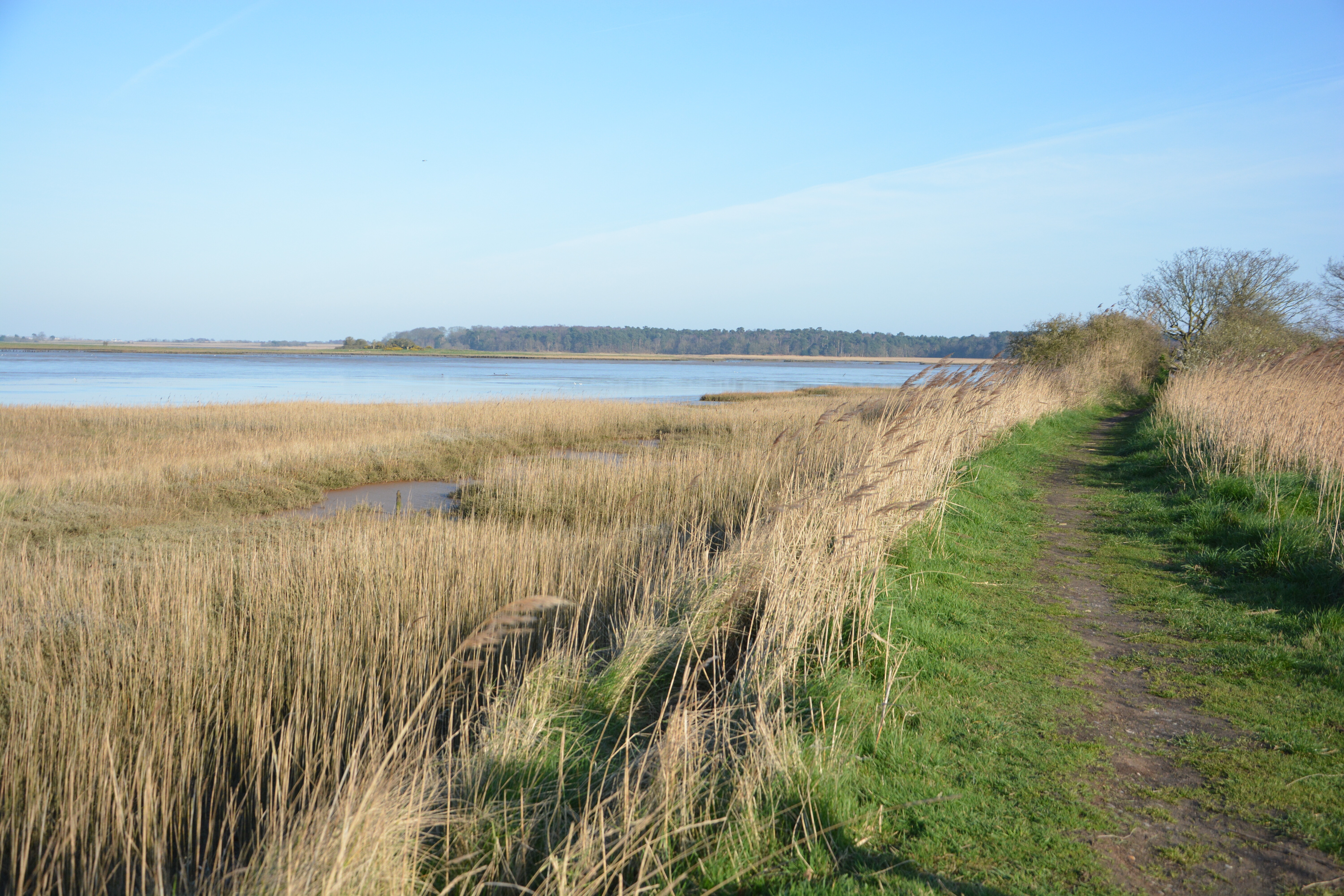 Holiday cottage in Reydon, Suffolk - Photo 11