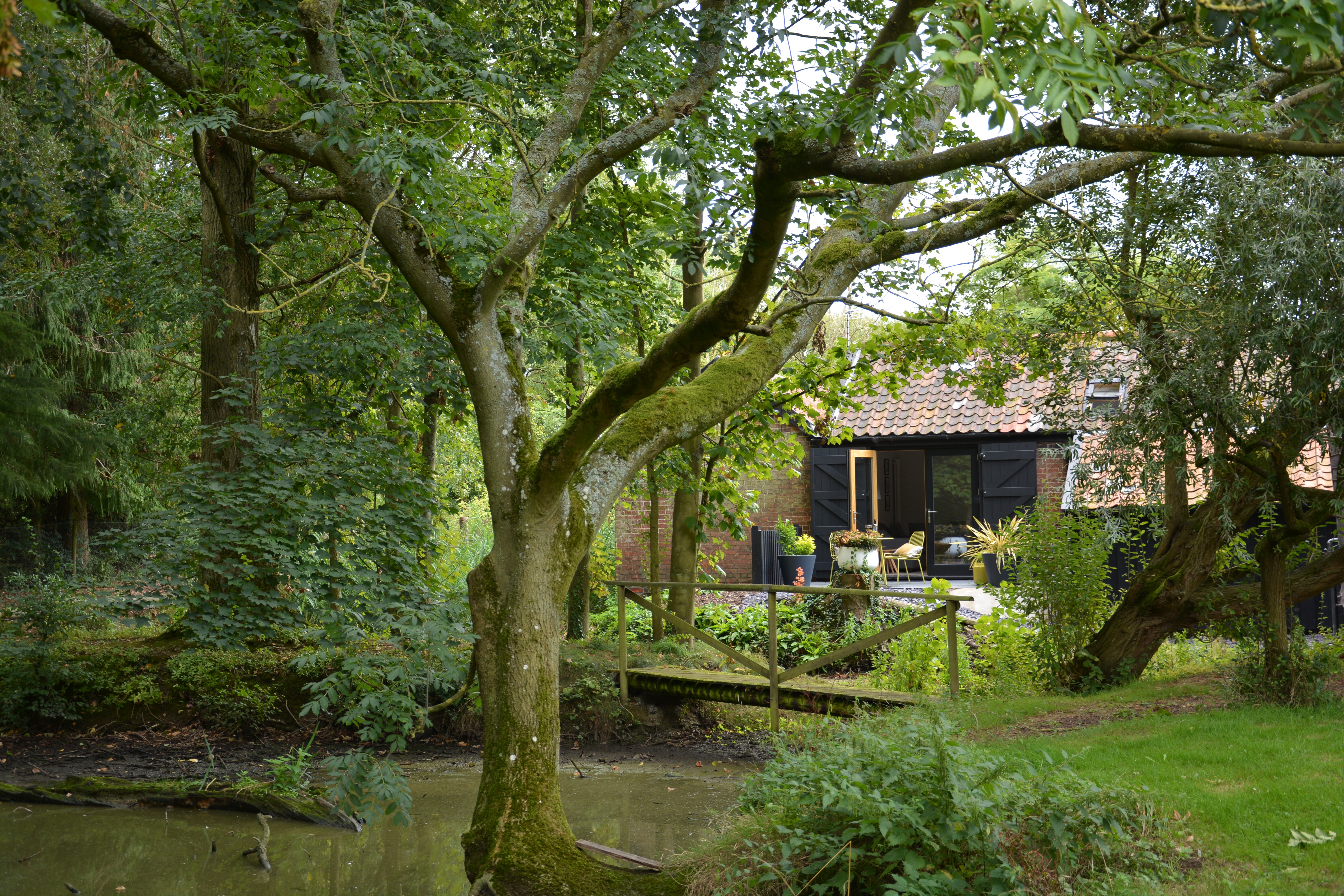 Holiday cottage in Halesworth, Suffolk - Photo 6