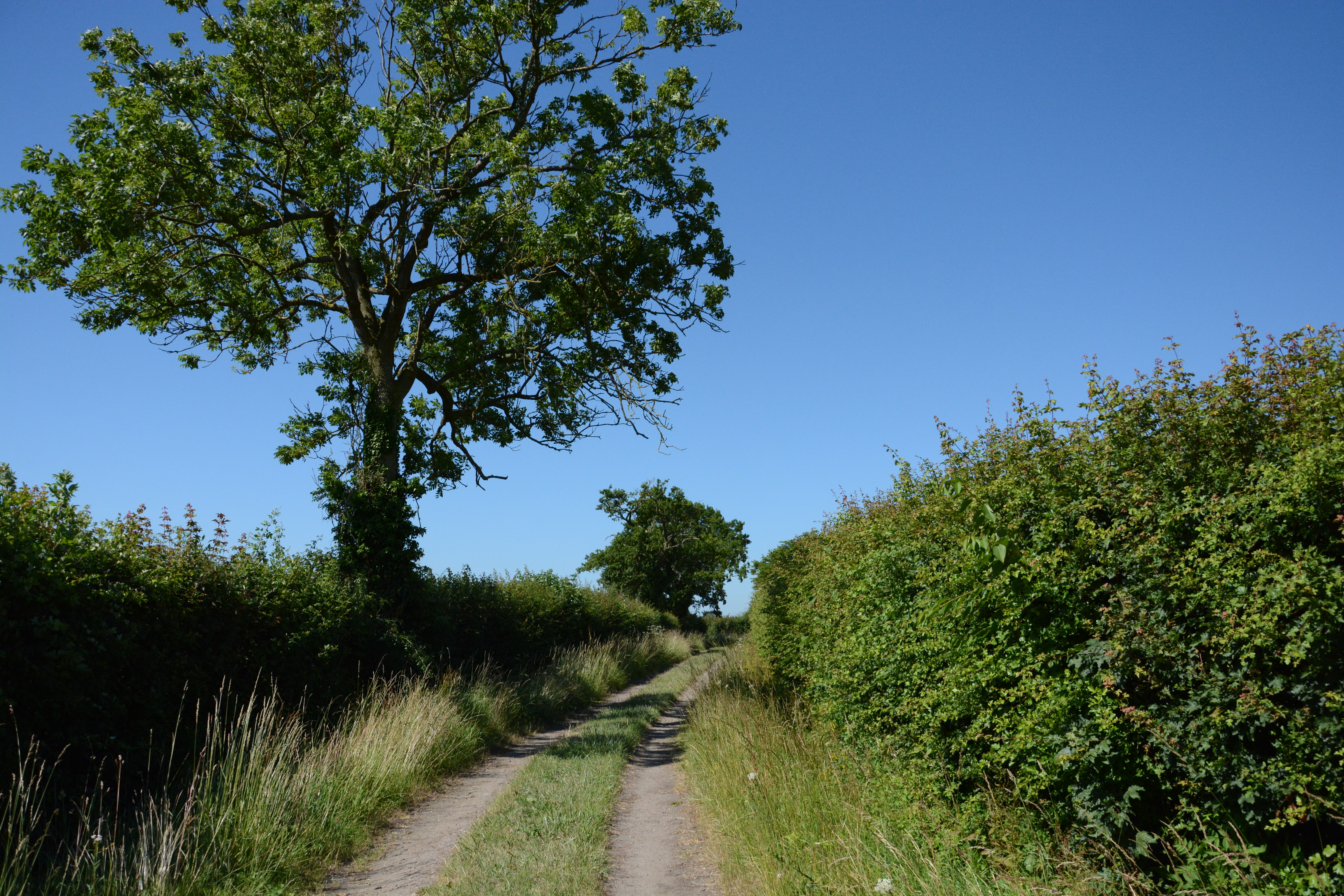 Holiday cottage in Framlingham, Suffolk - Photo 6
