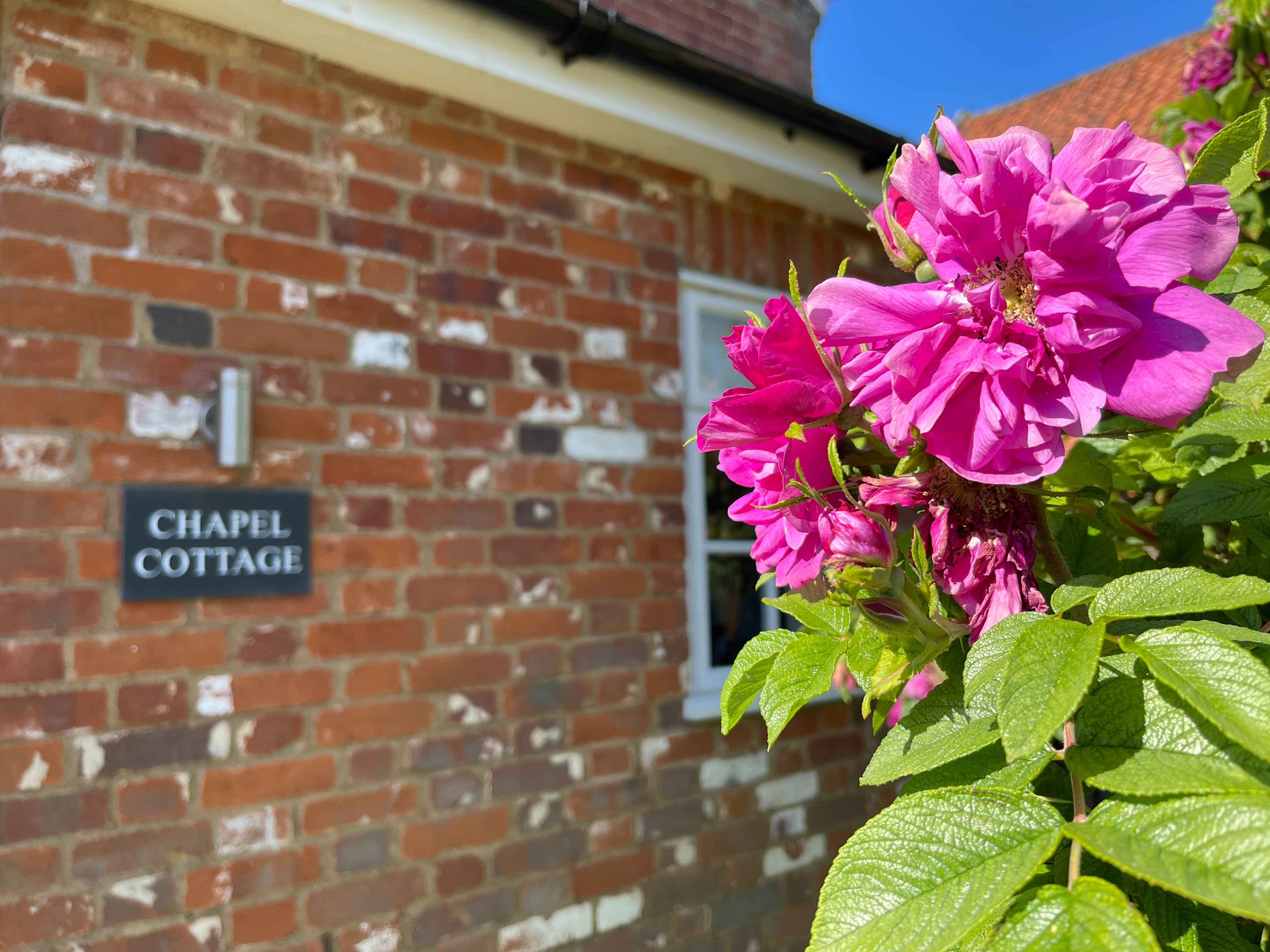 Holiday cottage in Newbourne, Suffolk - Photo 3