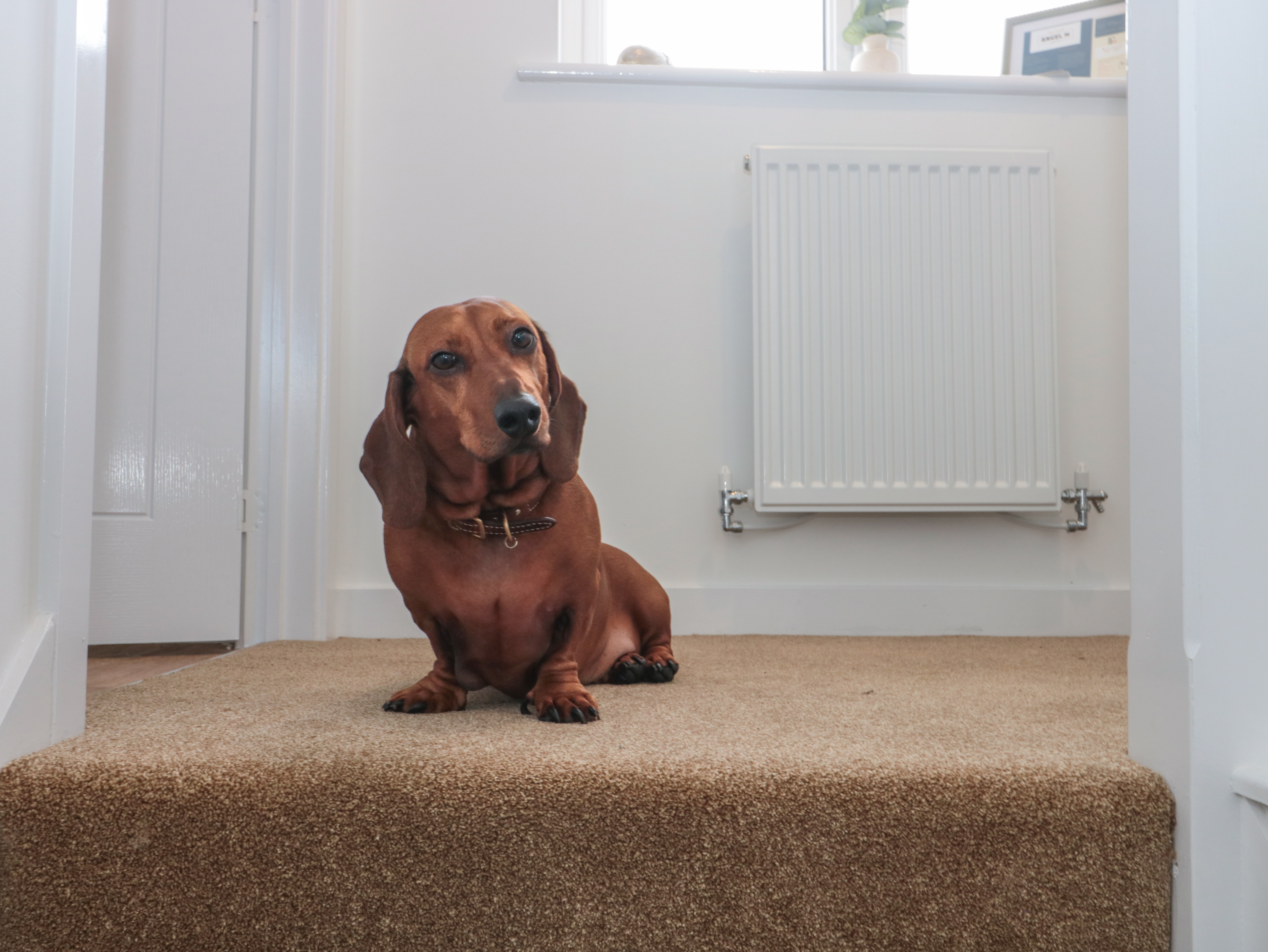 Holiday cottage in Tewkesbury, Gloucestershire - Photo 4