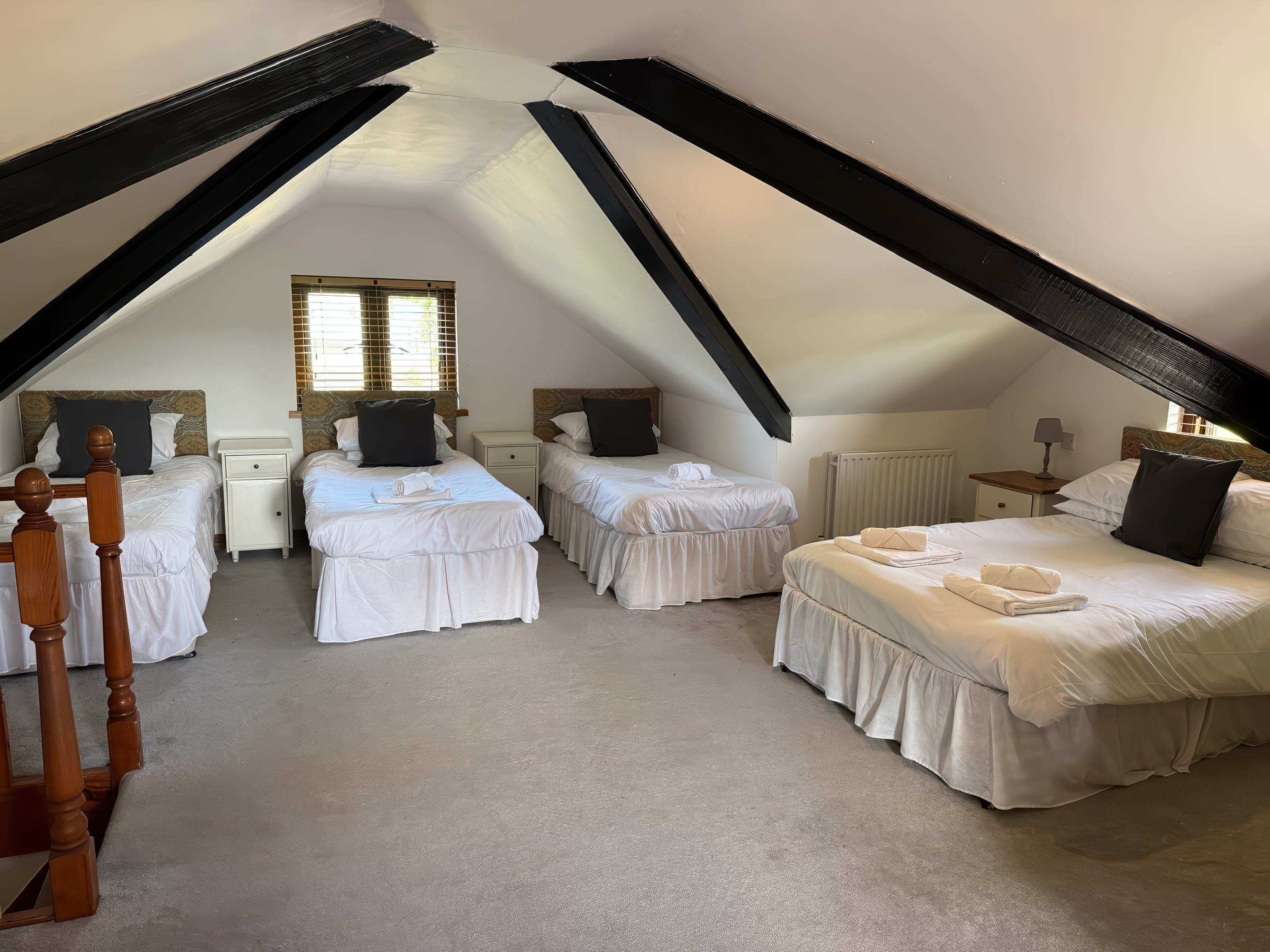 Hafod Lodge - Sleeps 21