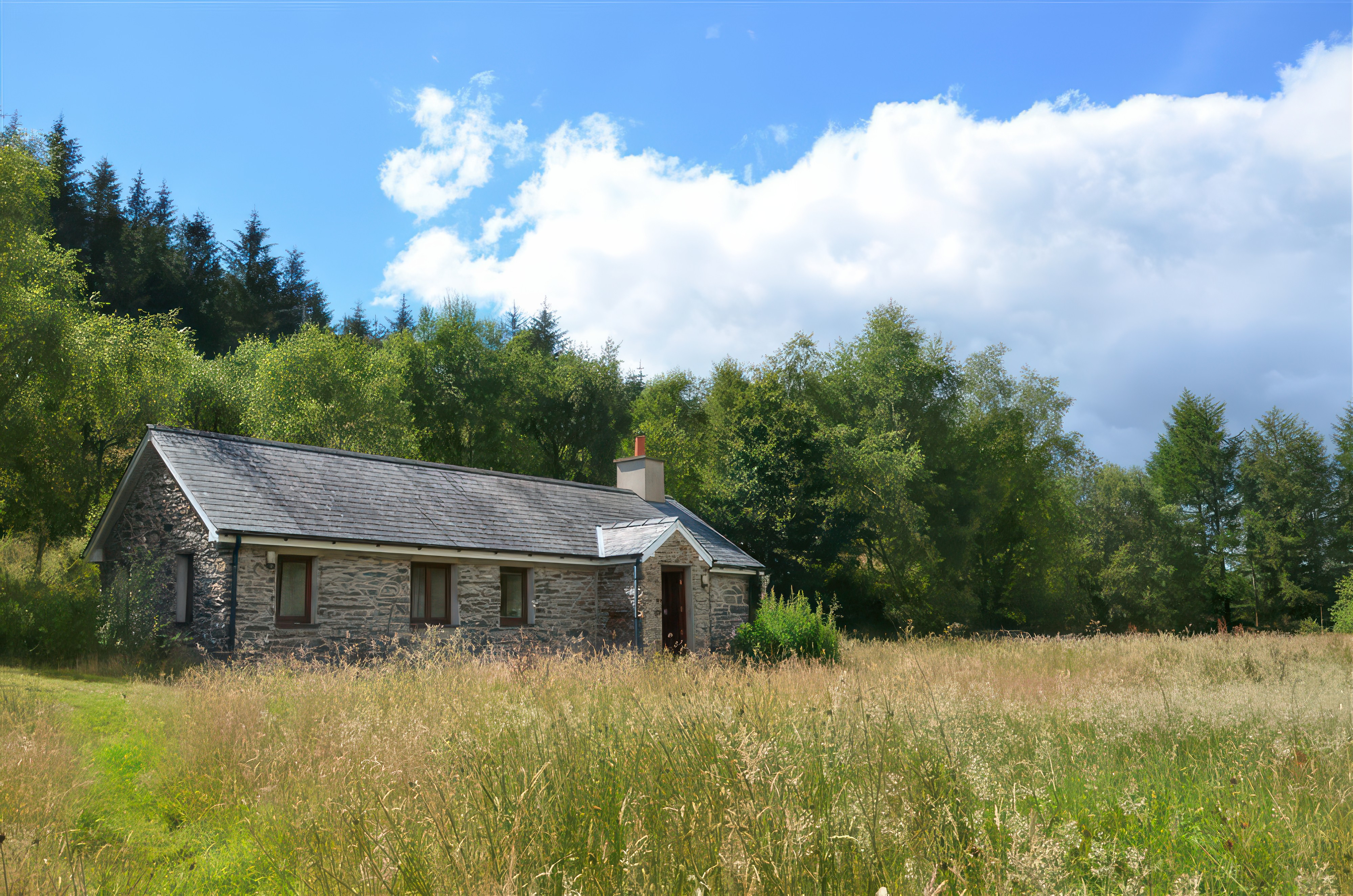 Holiday cottage, Penrhyndeudraeth (Cae'n Y Coed Barn)