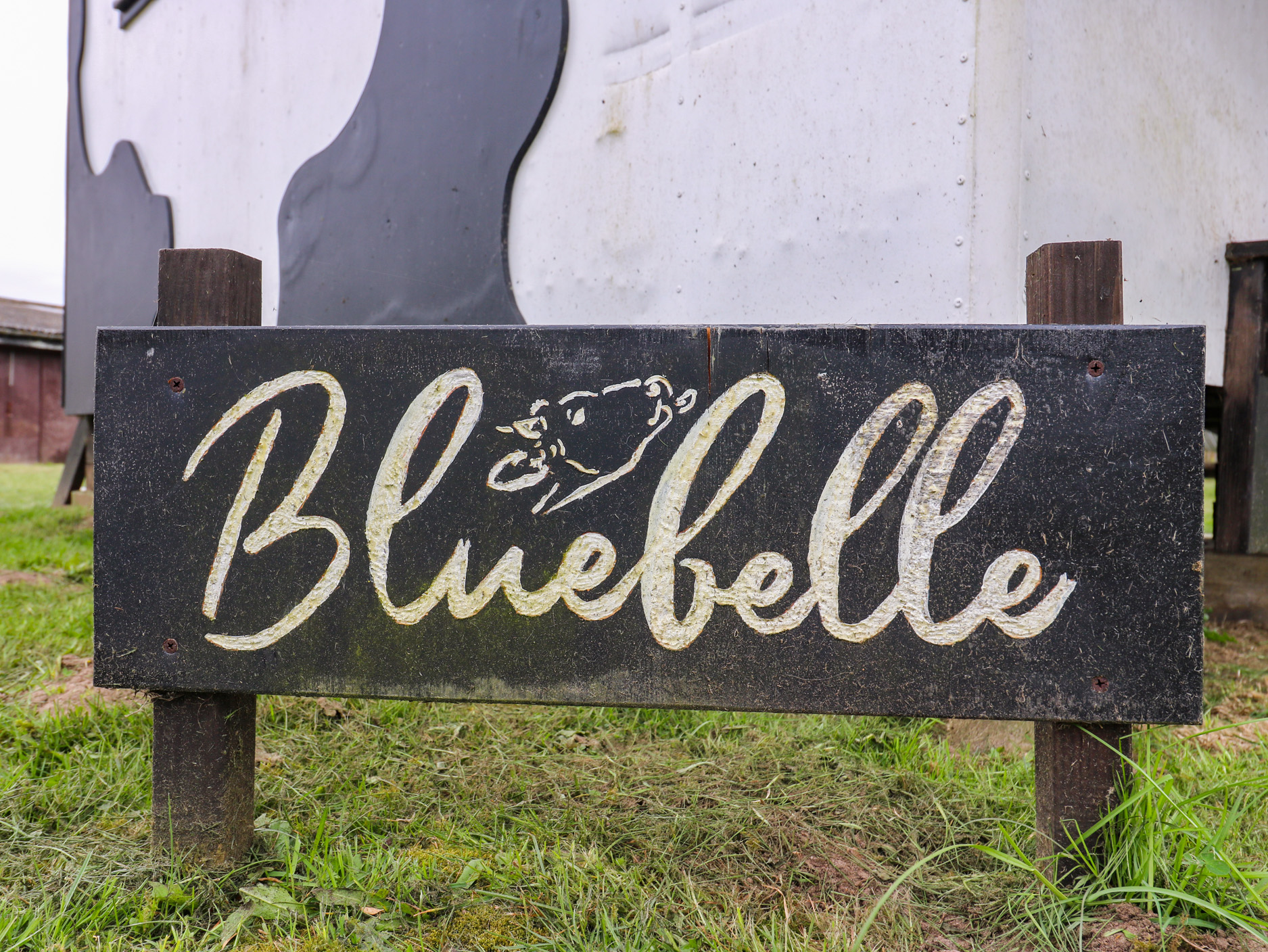 Holiday cottage in Campsea Ashe, Suffolk - Photo 3