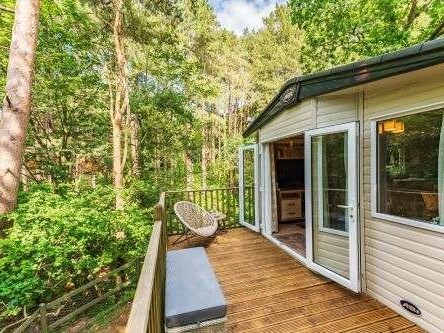 Tree Tops - Kelling Heath Holiday Park - 22244 - Norfolk