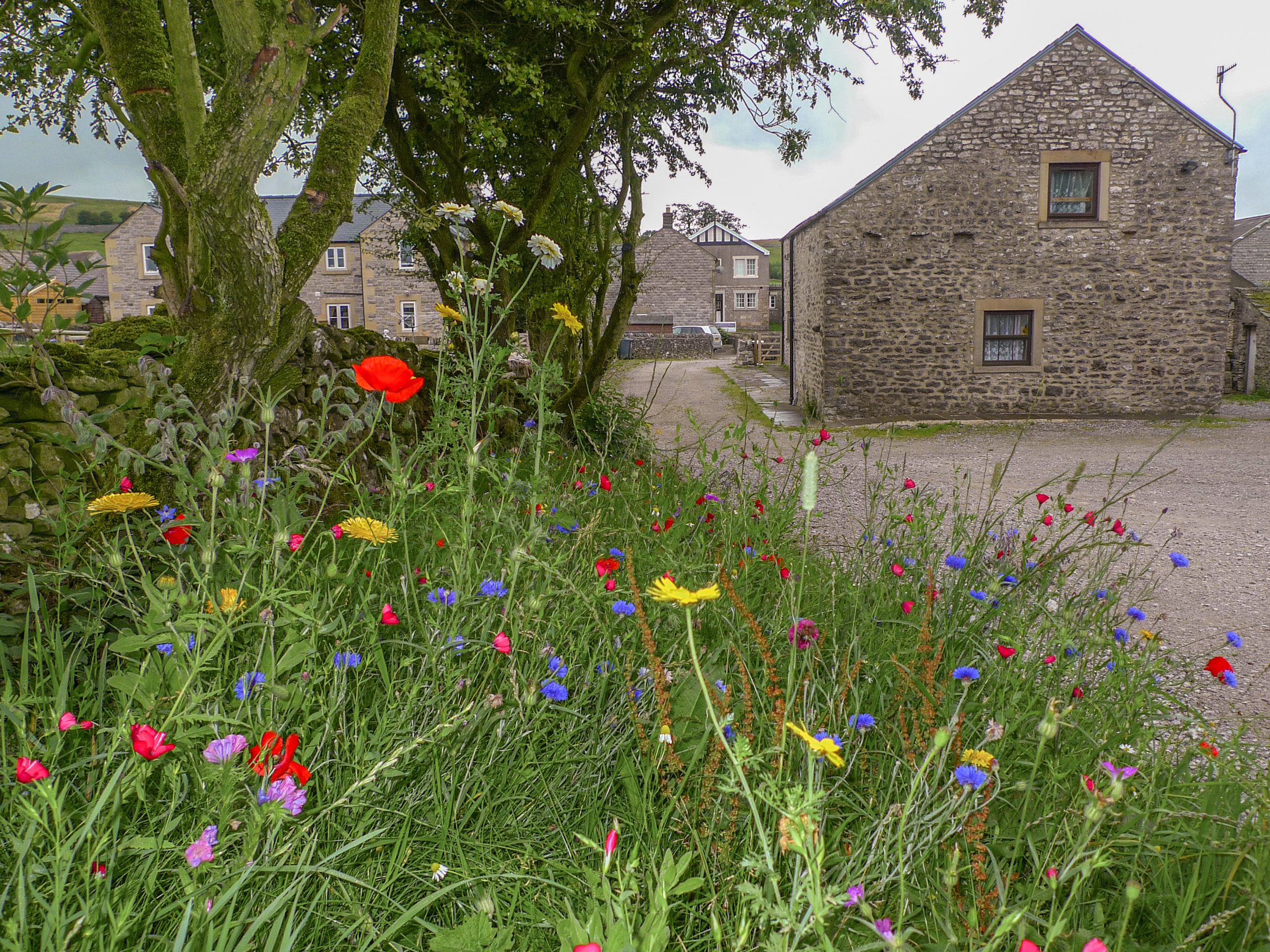 Holiday cottage in Chelmorton, Derbyshire - Photo 9