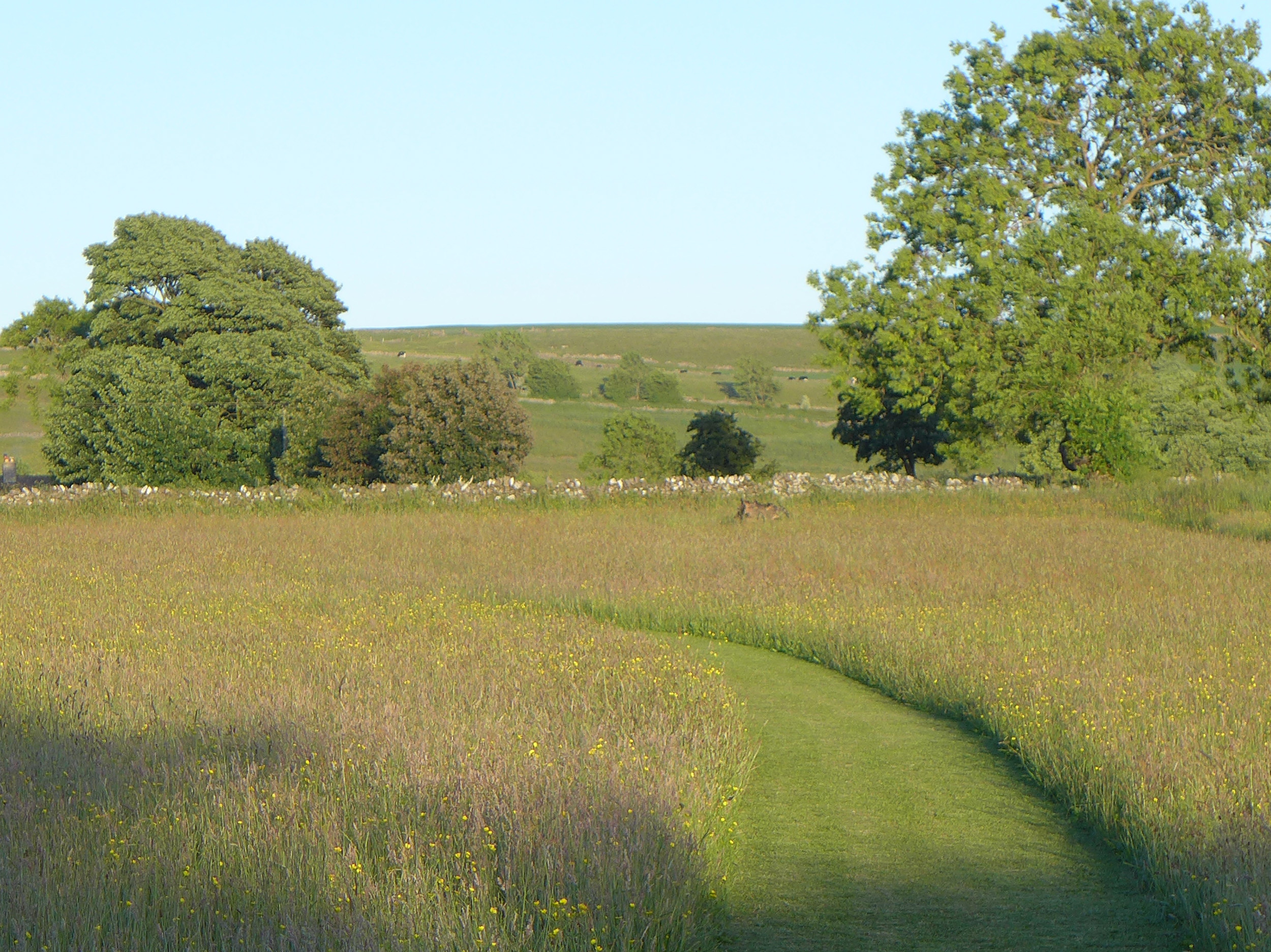 Holiday cottage in Chelmorton, Derbyshire - Photo 10