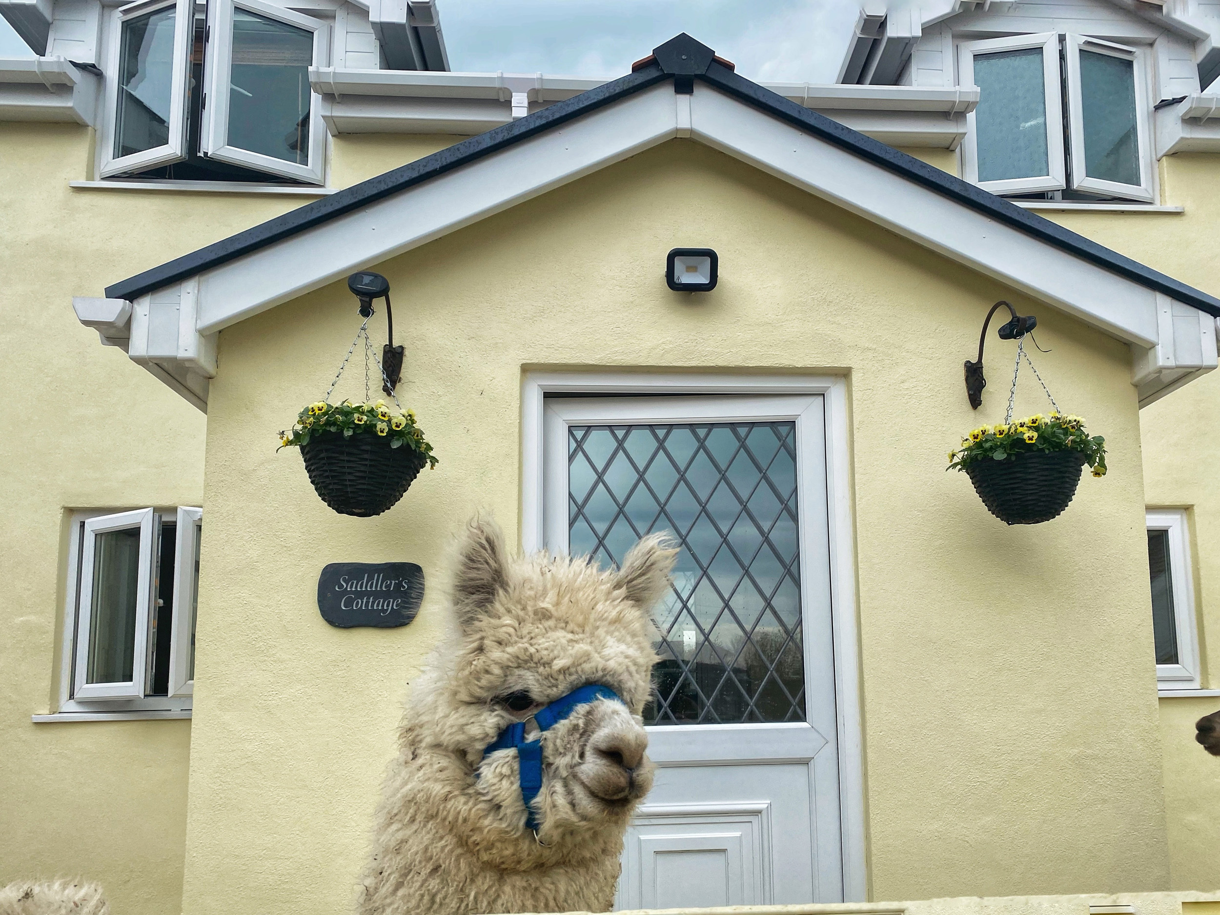 Holiday cottage, Clunderwen ()