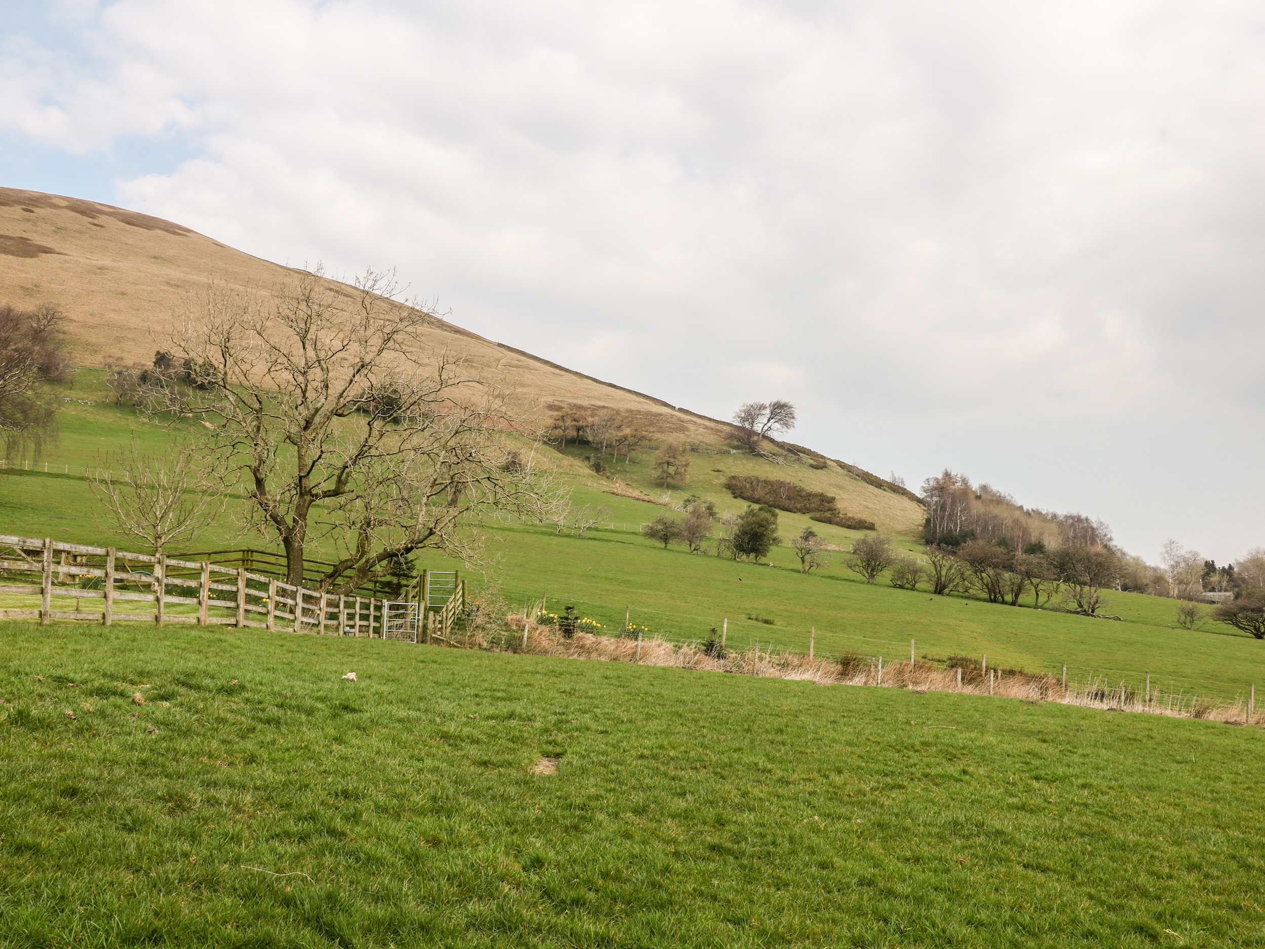 Holiday cottage in Edale, Derbyshire - Photo 11