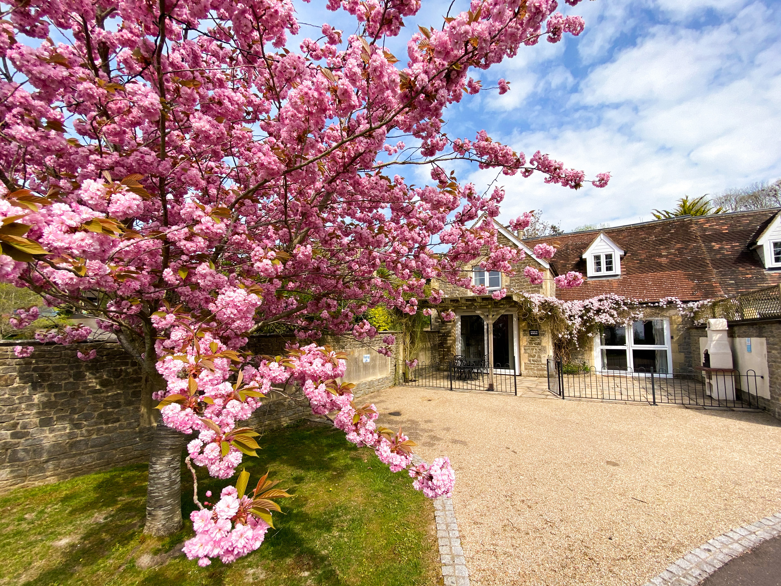 Holiday cottage, Buckhorn Weston (Rectory Coach House)