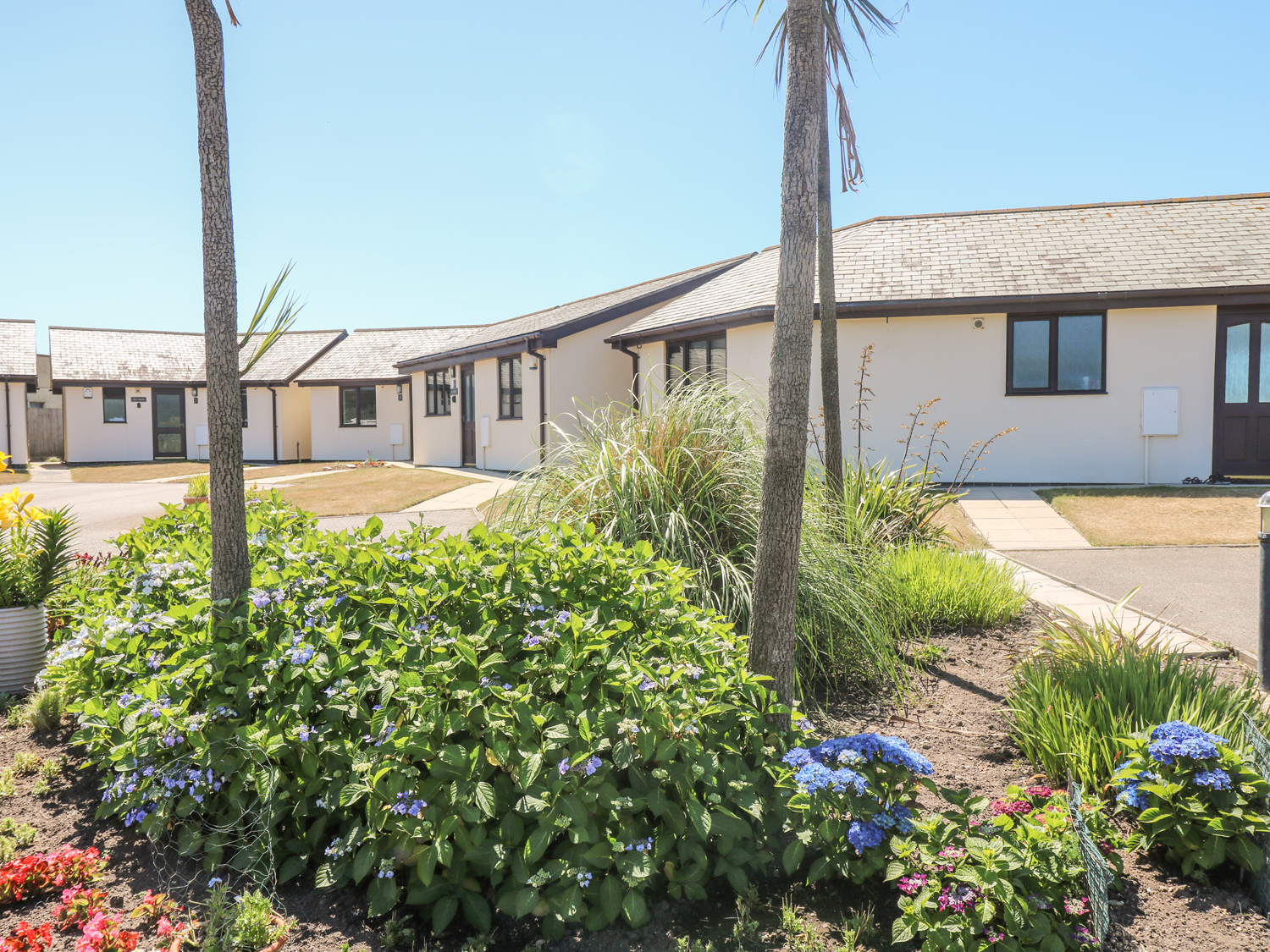 Holiday cottage, Marazion (Seashells)